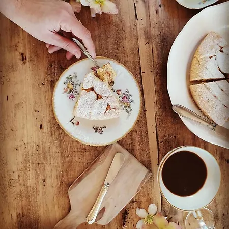 La Vispa Ceresa فندق مبيت وإفطار Castellinaldo