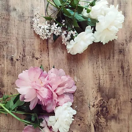 Bed and Breakfast La Vispa Ceresa Castellinaldo