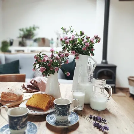 La Vispa Ceresa Bed and Breakfast 3*